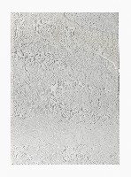 Célio Braga, 04. Untitled (White Blur), 2017. Cuts and carvings on paper. 29.5 x 21 cm
PHŒBUS•Rotterdam